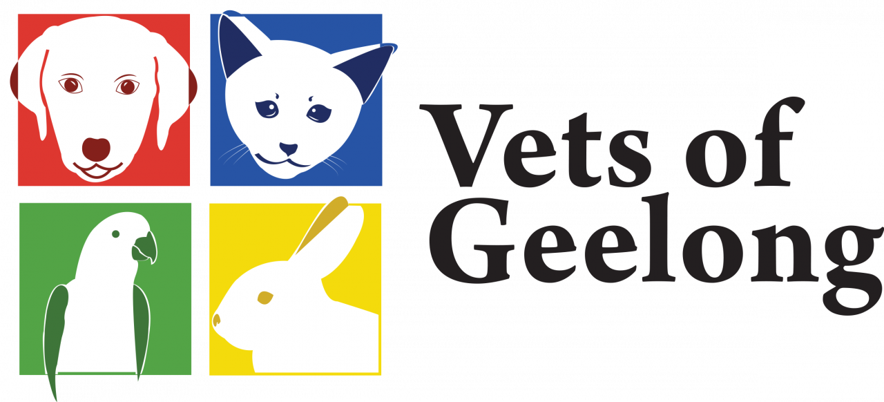 Geelong West & Highton Clinic Open Daily Vets Of Geelong
