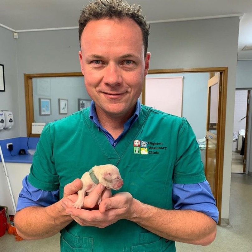 man holding a new born puppy