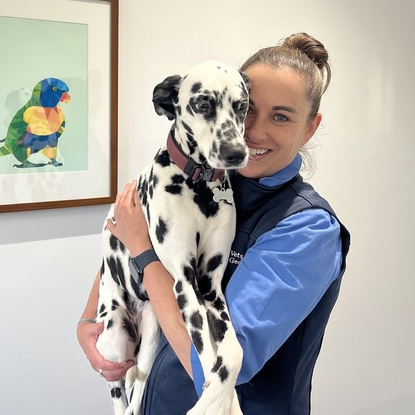 Dr Jemma Browne - Veterinarian